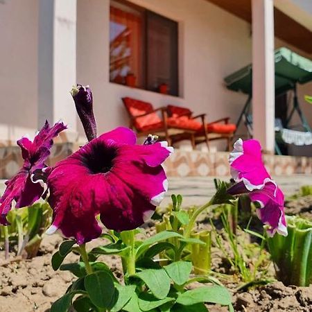 Greci Casa Caraua 빌라 외부 사진