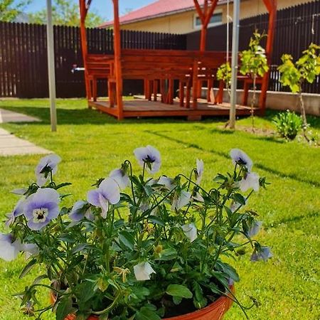 Greci Casa Caraua 빌라 외부 사진