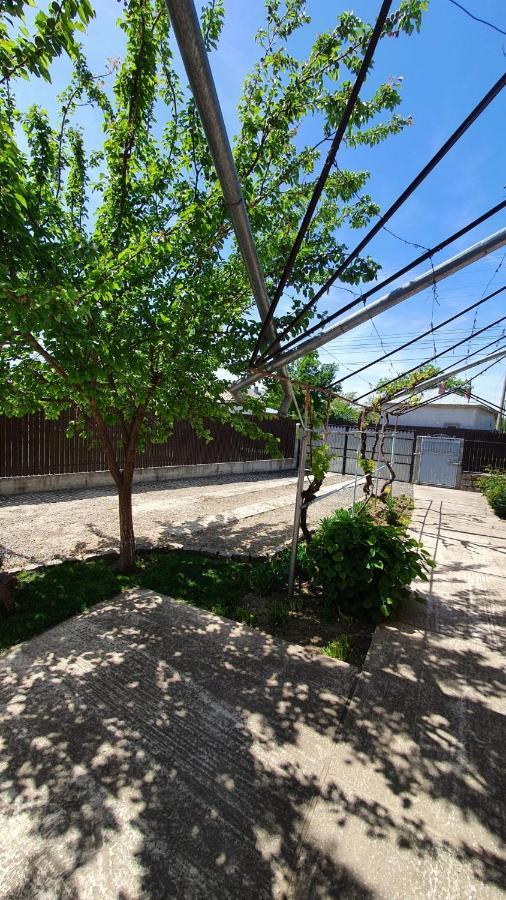 Greci Casa Caraua 빌라 외부 사진